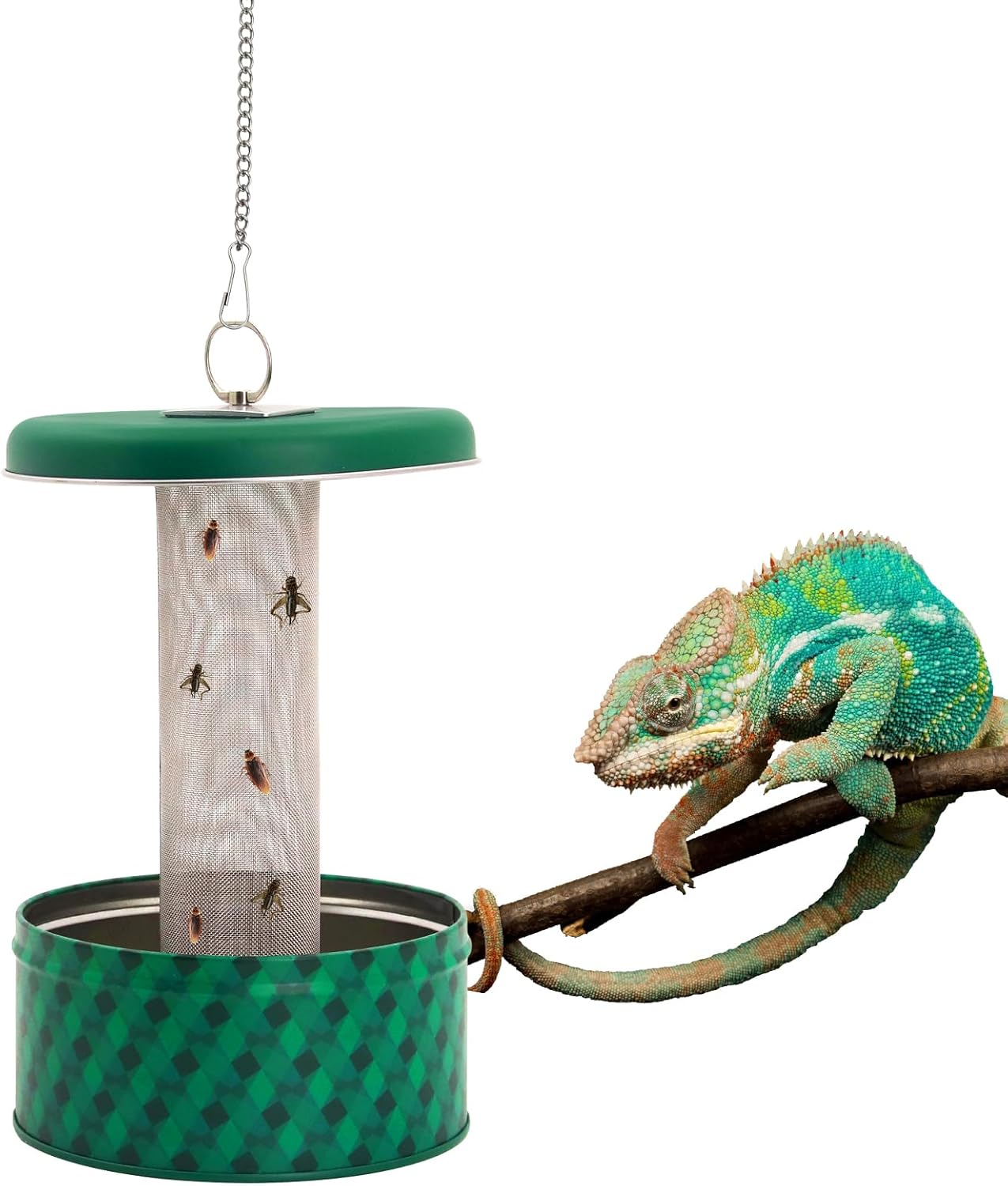 Alimentador de dragão barbudo  - Water Dish Reptile avaliação e preço