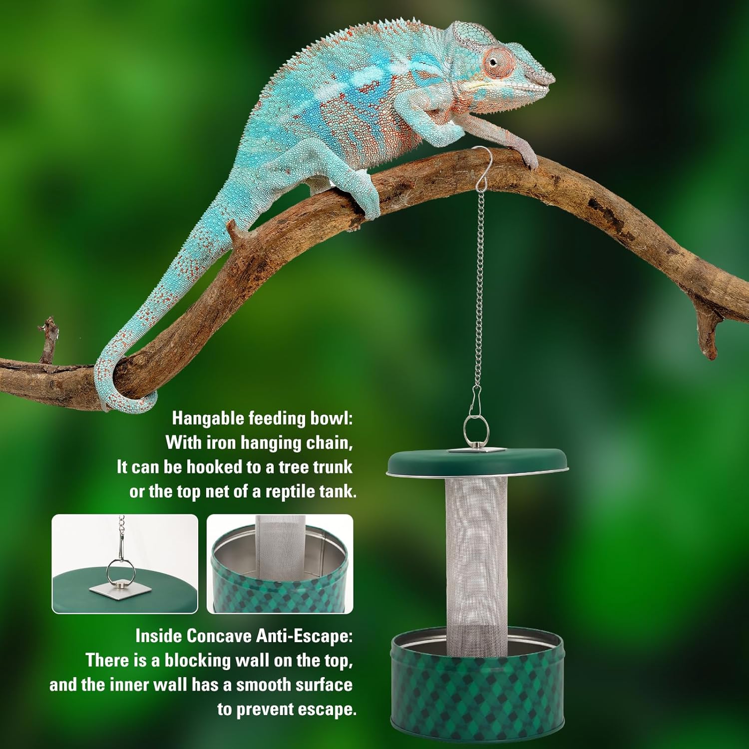 Alimentador de dragão barbudo  - Water Dish Reptile avaliação e preço