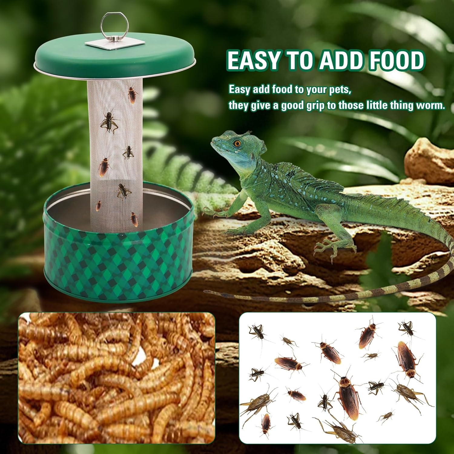 Alimentador de dragão barbudo  - Water Dish Reptile avaliação e preço